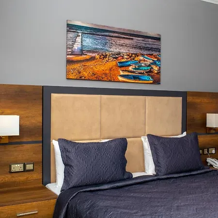 Mc Palace & Convention 酒店 *