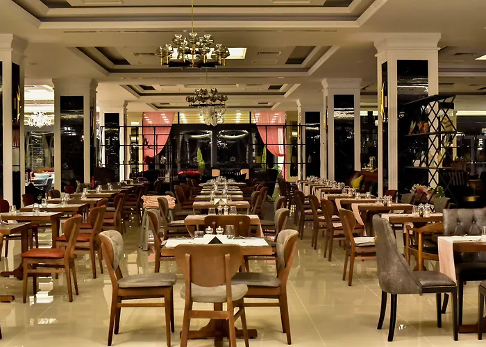 Hotel Mc Palace & Convention